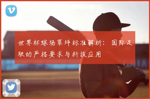 世界杯球场草坪标准解析：国际足联的严格要求与科技应用