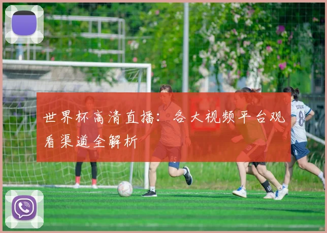 世界杯高清直播：各大视频平台观看渠道全解析