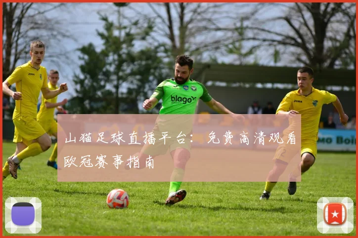 山猫足球直播平台：免费高清观看欧冠赛事指南