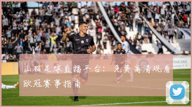 山猫足球直播平台：免费高清观看欧冠赛事指南