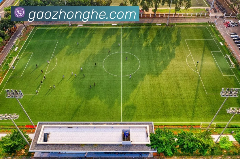 九游体育下载官网平台生态图